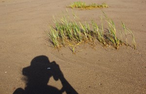 Janet Wallace at Mary's Point, NB.